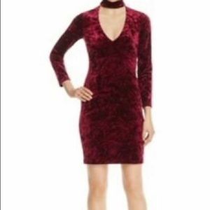 Bardot burgundy velvet choker dress.